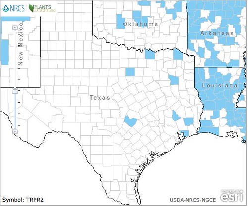 map of Clover - Red distribution in Texas