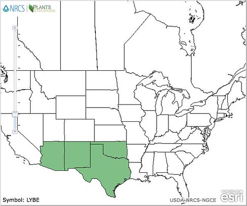 map of Wolfberry distribution in North America