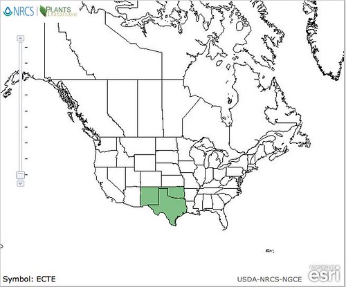 map of Cactus - Horse Crippler distribution in North America