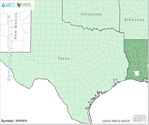 map of St. Andrew's Cross distribution in Texas
