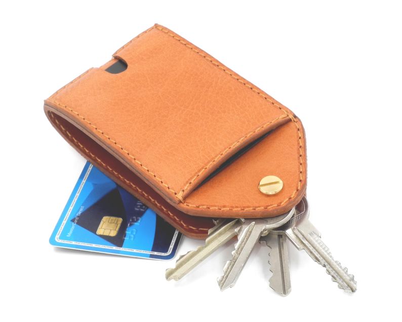 Card holder with key organizer