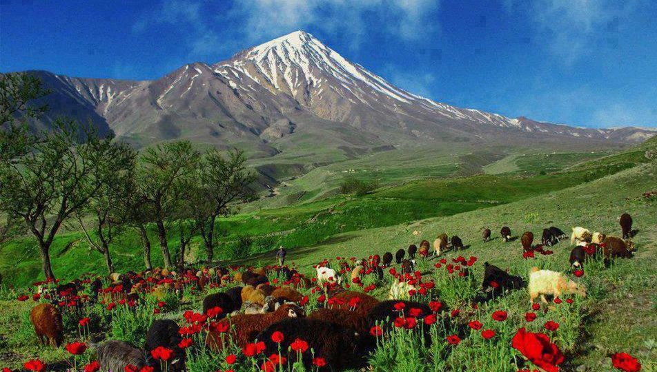 Kurdish Mountain