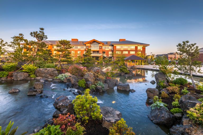 pond and rocks with background building at Samaritan Lebanon Health Sciences Campus