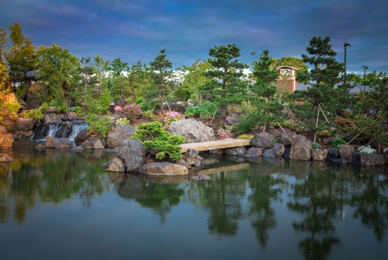 pond with boulders and trees in background at Samaritan Lebanon Health Sciences Campus