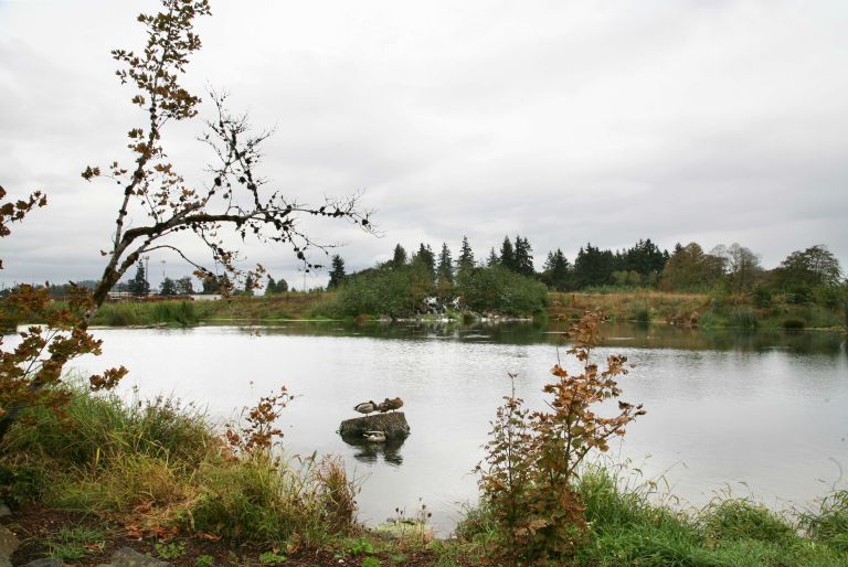 pond at Talking Water Gardens