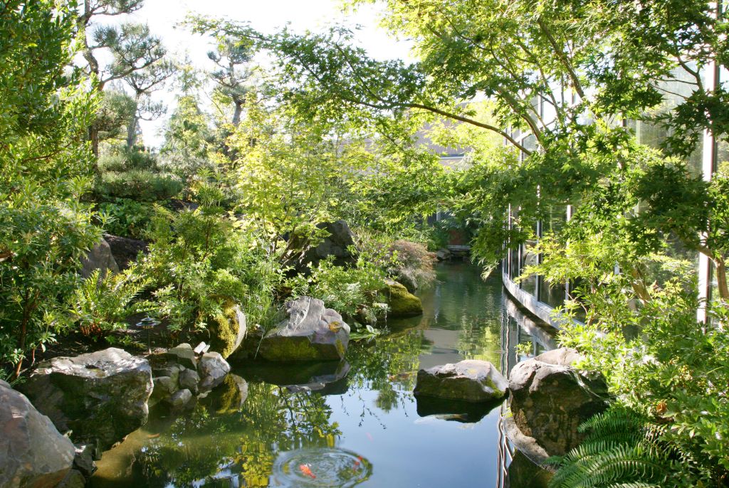 pond at Samaritan Lebanon Community Hospital