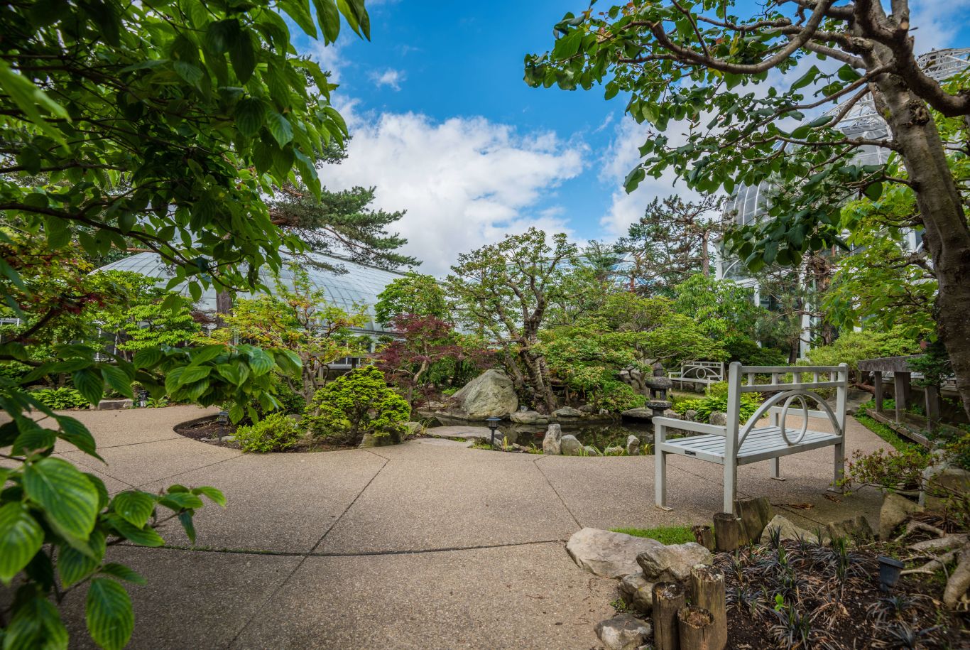 Japanese Courtyard Garden at Phipps Conservatory