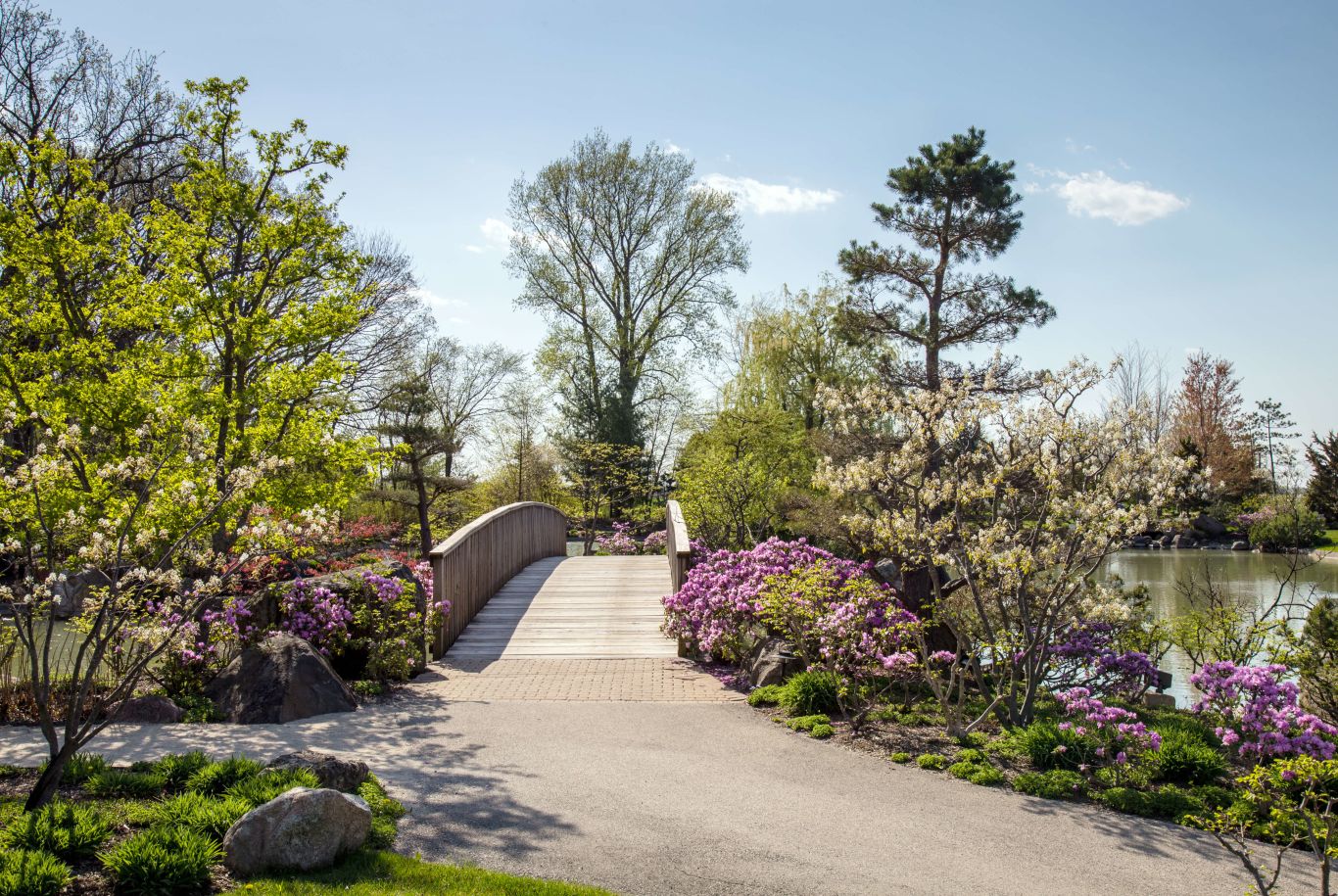 bridge at Rosecrance Griffin Williamson Campus