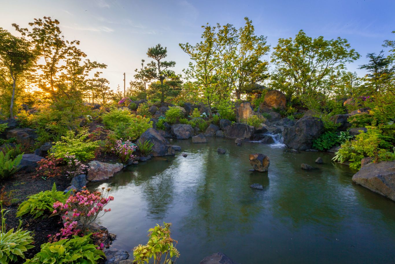 pond with boulders and trees at Samaritan Lebanon Health Sciences Campus