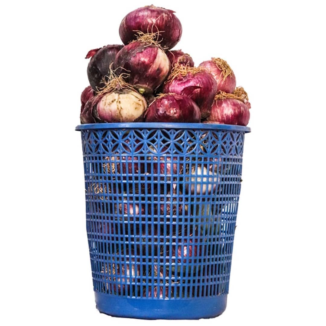 Basket 2024 for onions