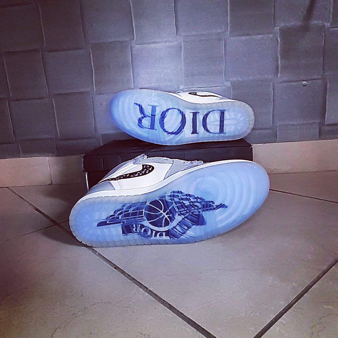 dior air jordan logo