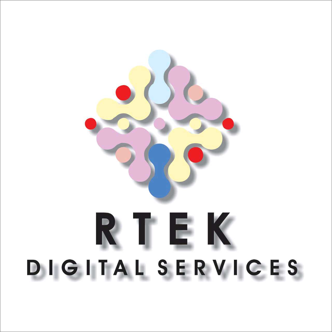 Rtek Digital Services cover imag