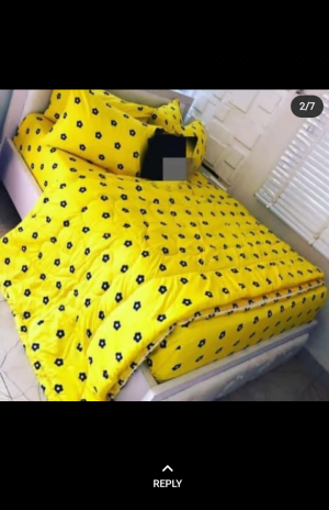 Bedsheet with pillow cases and/ duvet