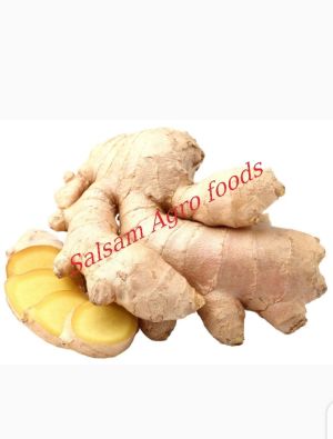 Fresh ginger  and dry ginger