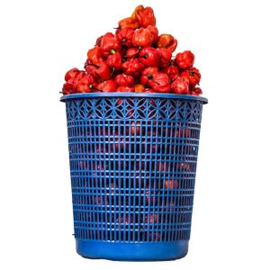 Basket of rodo (pepper)