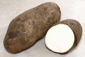 Yam. (white and fresh when cooked)