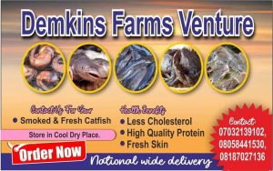 Demkins farms venture