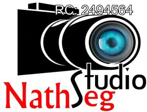 nathseg-graphix