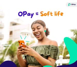 5971323-opay-cash-investmentpaycom