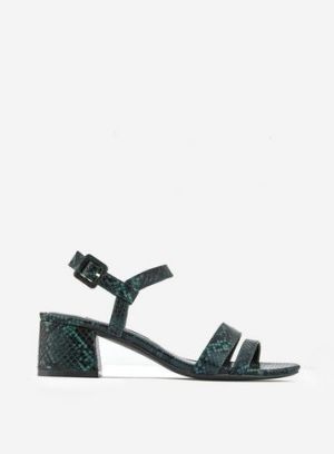 A dorothy perkins low heel green sandal