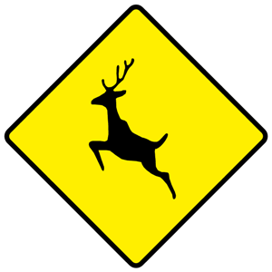 Wild animals crossing