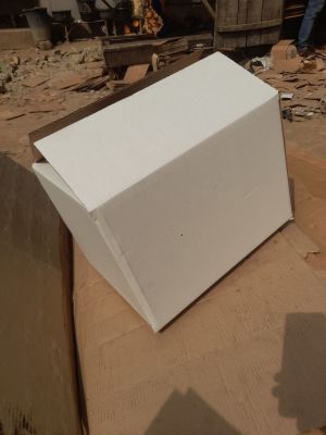 Plain white carton box.