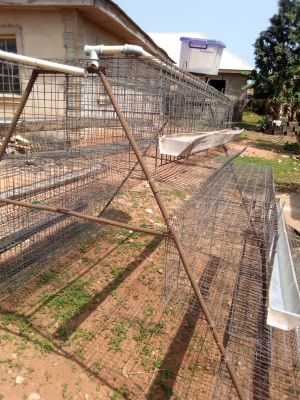 Battery cage