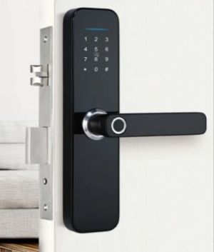 Home smart lock