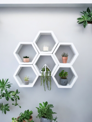 3 pcs hexagonal floating shelf
