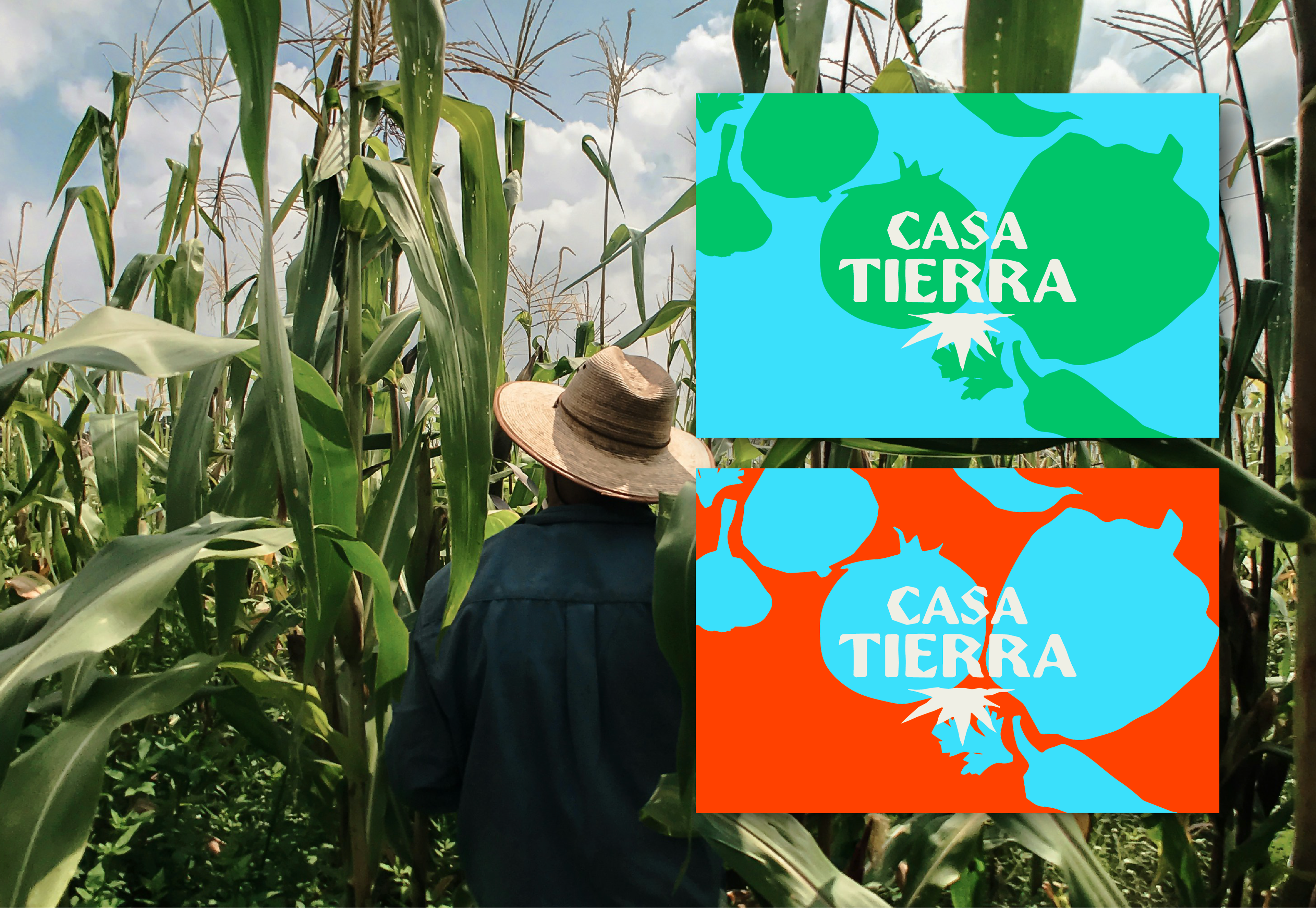 Casa Tierra — 2
