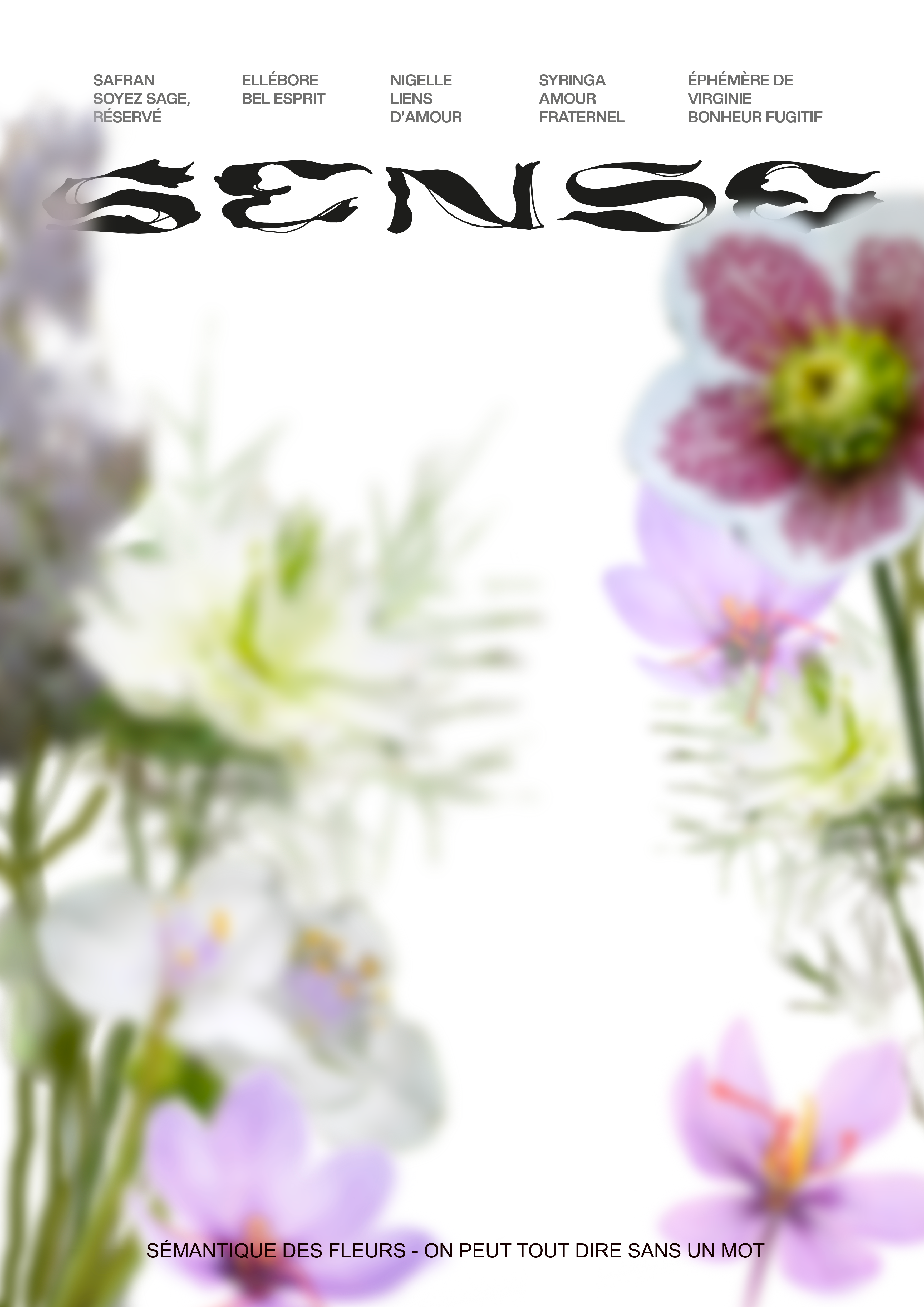 Sense — 3