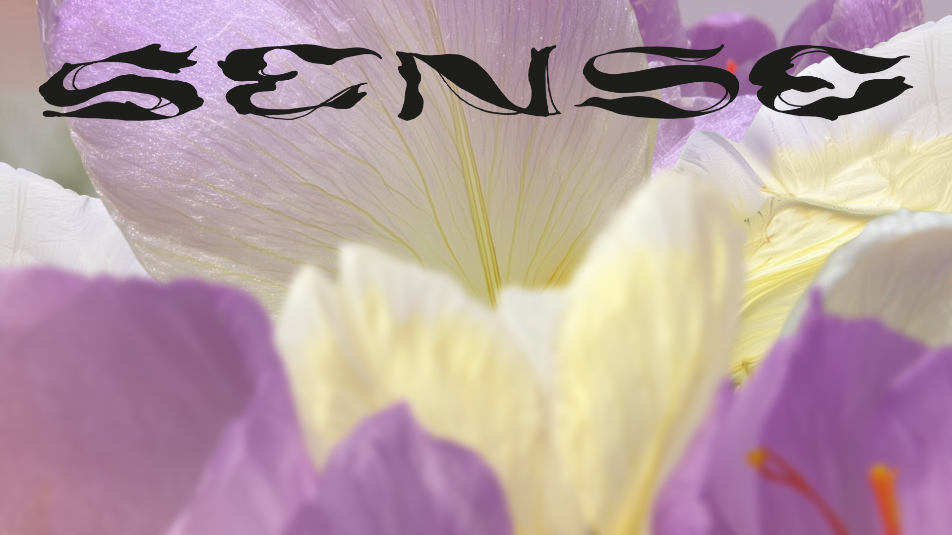 Sense — 5
