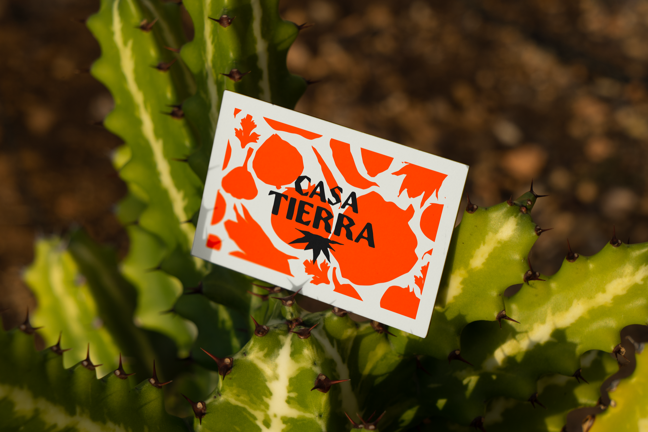 Casa Tierra — 7