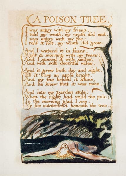 a poison tree