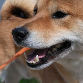 Міша Сердюк profile picture