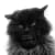 rekvikift profile image
