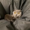 kate_lorax profile image
