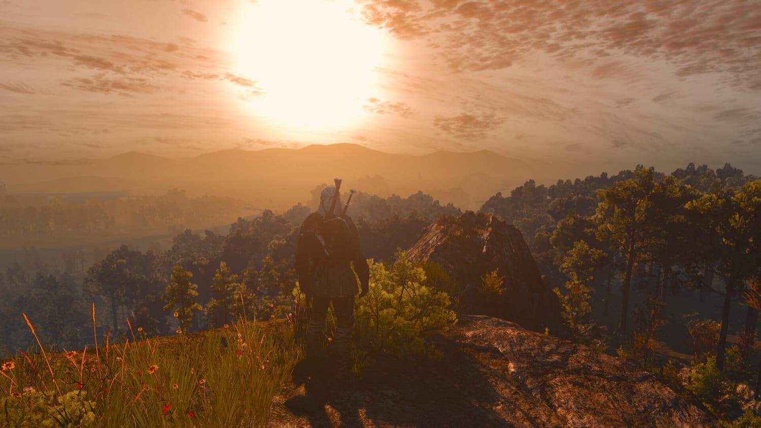 Witcher 3 Velen