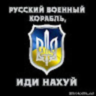 Александр Кушниренко profile picture