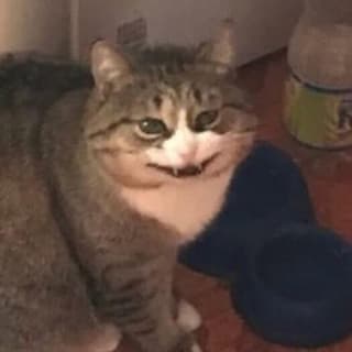 Юзернейм profile picture
