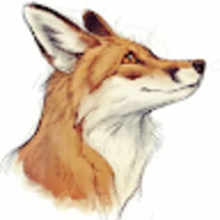 Vatari Setsu profile picture