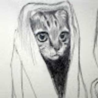 Voice profile picture