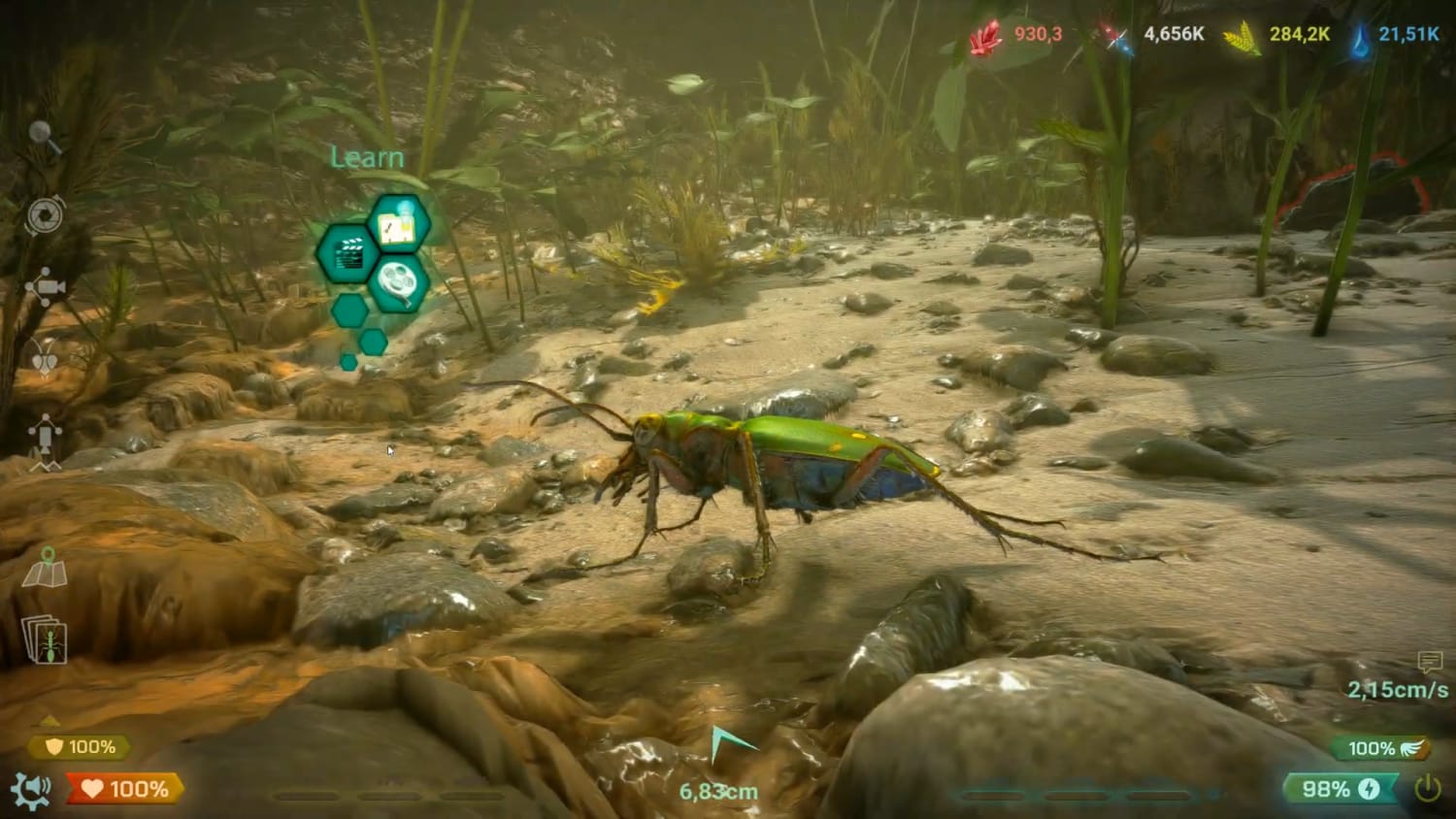 Insect Worlds