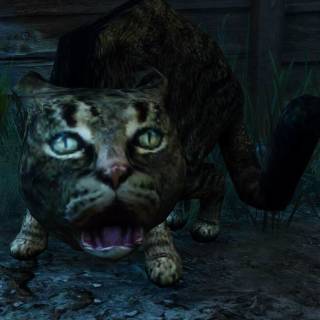 Олександр profile picture