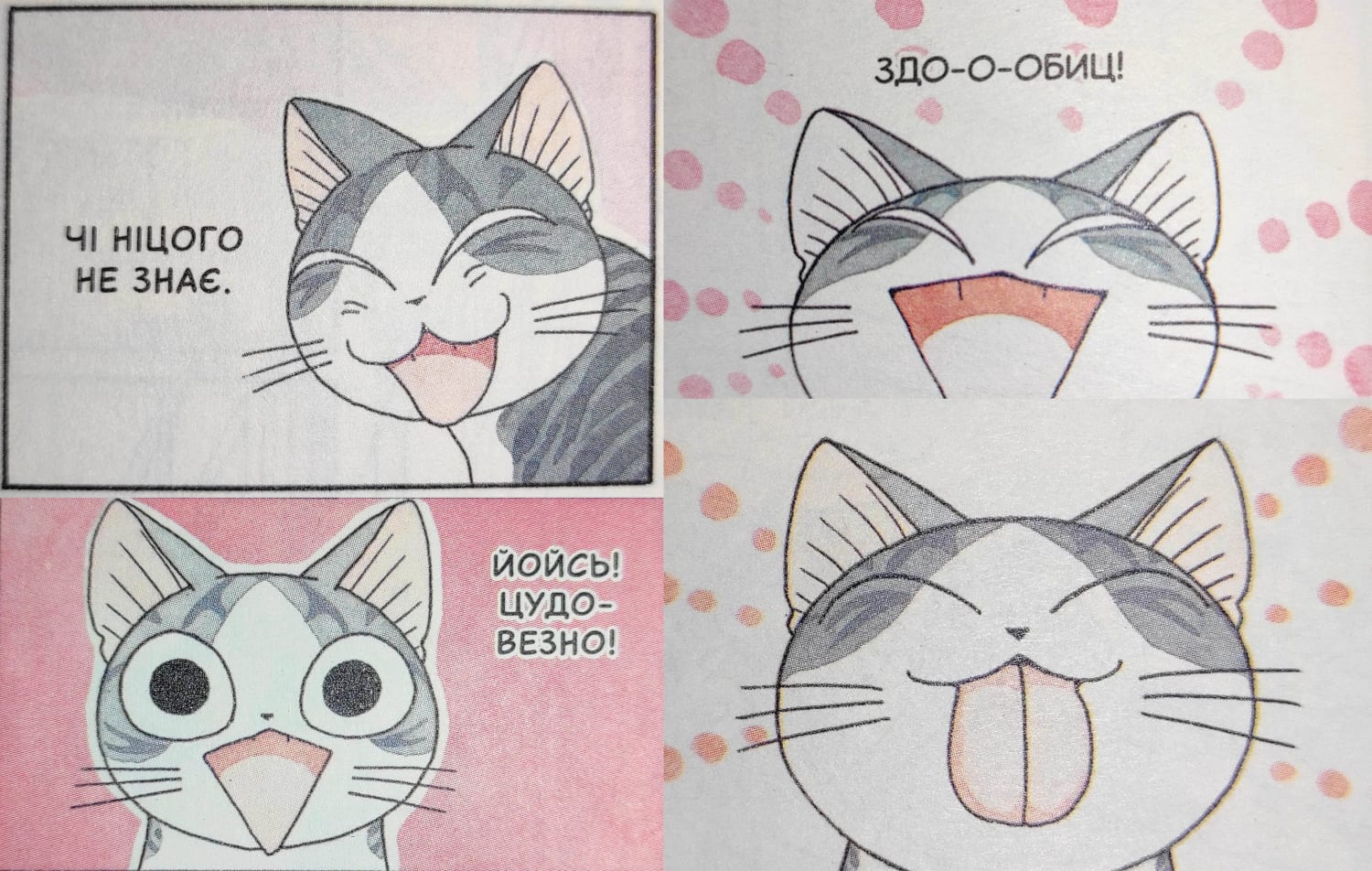 Опис картинки