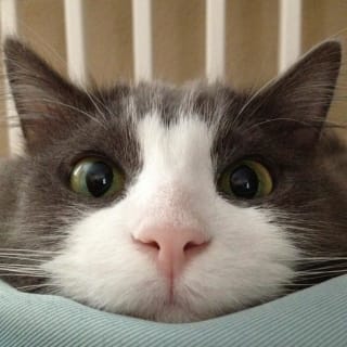 Андрій profile picture