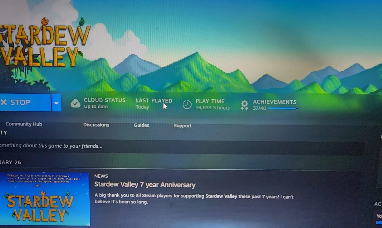 Stardew Valley