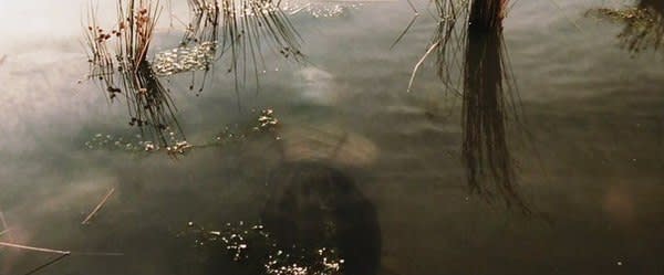 Кадр з фільму "Володар перснів. Дві вежі", 2002