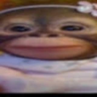Egor Zalogin profile picture