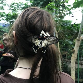 Ольця profile picture